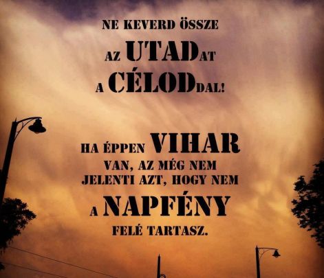 celod_ne_keverd_ossze_az_utaddal.jpg