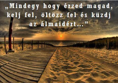 kuzdj_az_almaidert.jpg